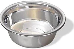 Van Ness Pets Medium Lightweight Stainless Steel Dog Bowl, 32 OZ Food And Water Dish, Natural