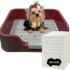 [PS KOREA] Indoor Dog Potty Tray – with Protection Wall Every Side for No Leak, Spill, Accident - Keep Paws Dry and Floors Clean (Wine) + Pee PAD 100 PCS