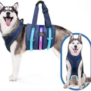 Dog Lift Harness and Carry Sling: Large Pet Rehab Vest w/Front & Rear Handle & U-Shaped - Hind Leg Support-Assist Disabled, Injured, Aged/Elderly Dogs with Mobility- Arthritis, Up & Down Stair (L)